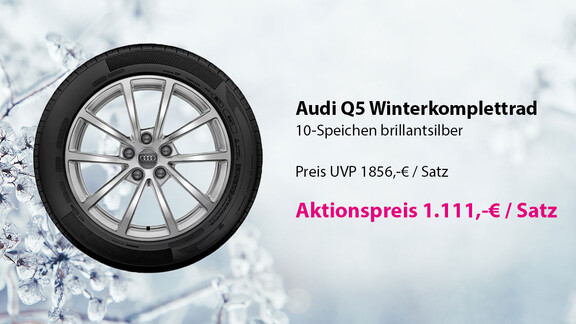 Kühl- und Warmhaltebox von Audi Original Zubehör Reise - Kühl- und