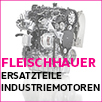 Fleischhauer Industriemotoren